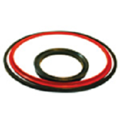 Piston Seals